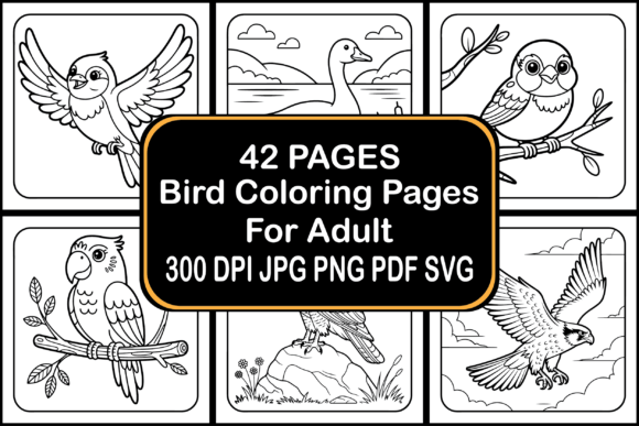 42 Bird Coloring Pages Graphics Bundle